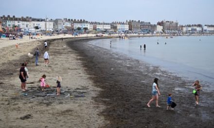 Health alarm as tide of rotting seaweed chokes UK holiday beaches | Coastlines