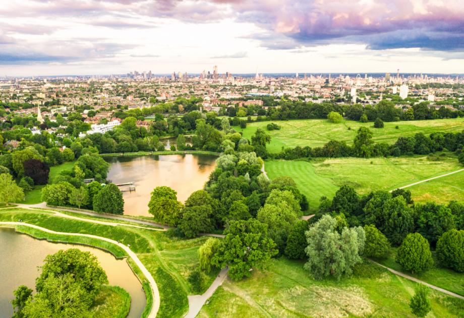 18 best spring, summer, autumn or winter walks in London