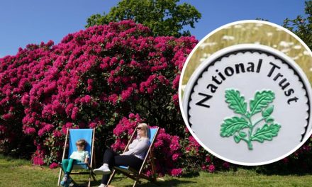 The National Trust is offering free passes- find out more