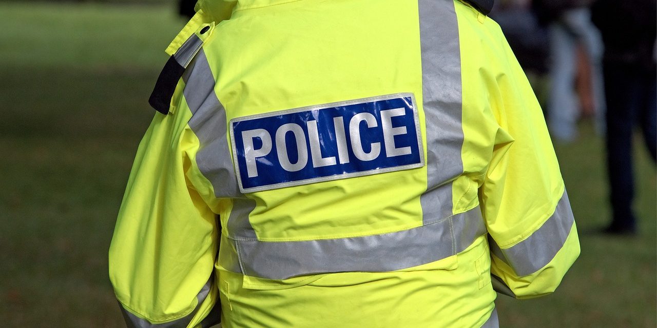 Owner sought by police after dog bites boy in Canning Town