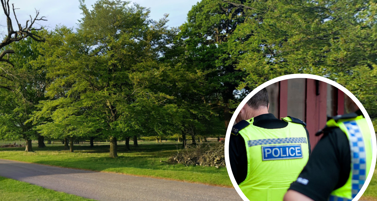 Met Police searches Richmond Park overnight for terror suspect