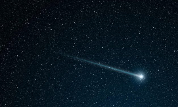 When you can see Comet Nishimura in London this week