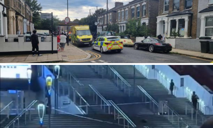 Horror 24 hours across London with one dead after five stabbings