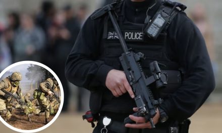 Army on standby after scores of Met armed police stood down