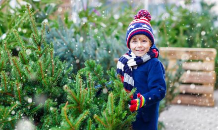 The best places to buy a Christmas tree across London