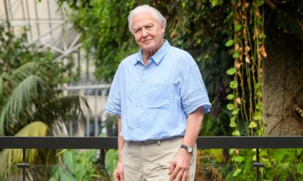 Sir David Attenborough becomes a Madame Tussauds wax figure