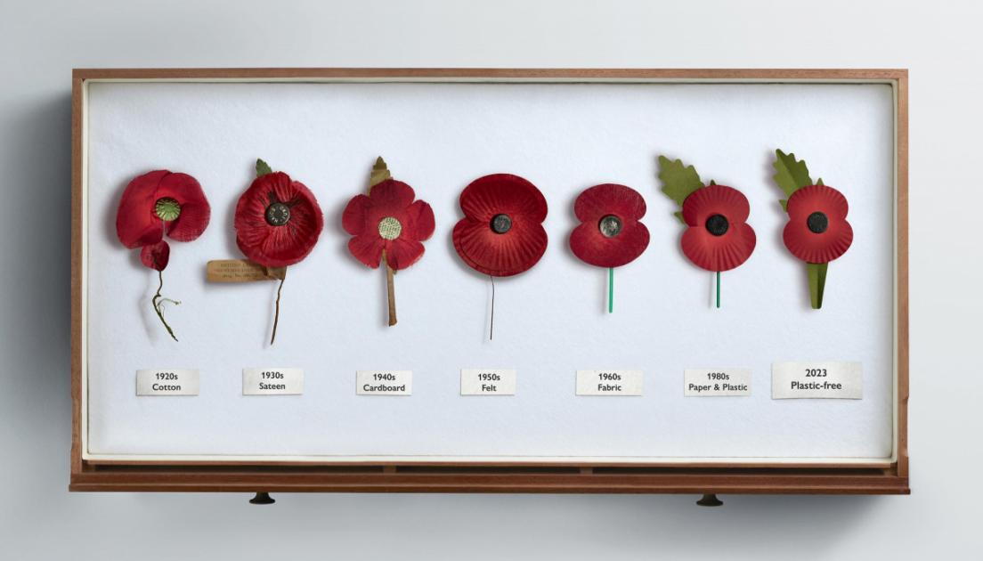 Royal British Legion launch recyclable Remembrance poppies
