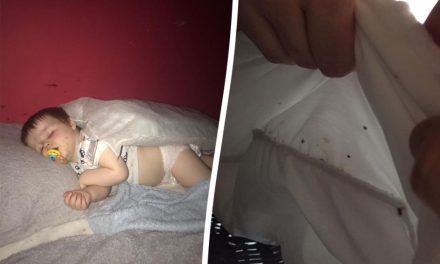 Bedbugs in London flat got so bad family refused to go outside