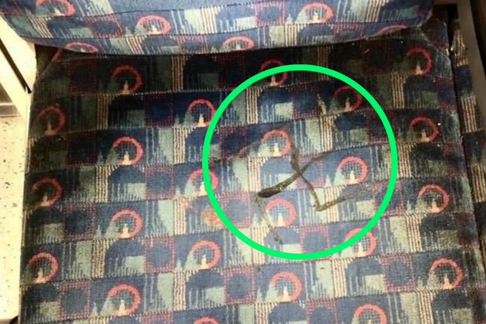 New antisemitic swastika graffiti on Northern line Tube seat