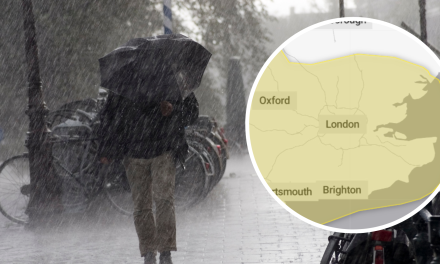 London weather: Met Office issues yellow warning for rain