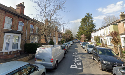 Parkside Road Hounslow fatal stabbing: Victim named