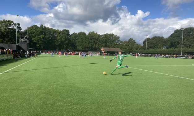 Fan View: Dagenham & Redbridge facing crucial week