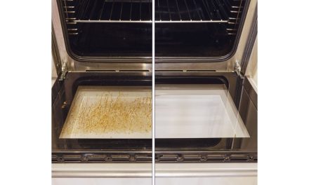 Water bowl hack that cleans an entire oven in 20 minutes