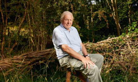 Sir David Attenborough encourages children to observe nature