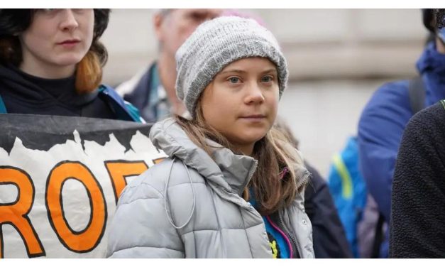 What is a public order offence? Greta Thunberg charged