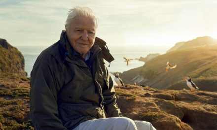 BBC reportedly axe David Attenborough’s Dynasties programme