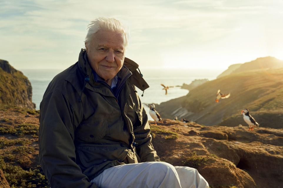 BBC reportedly axe David Attenborough’s Dynasties programme