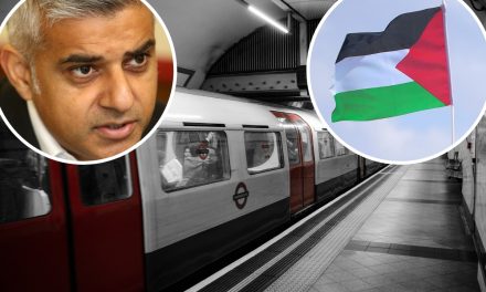 Mayor backs suspension of ‘free Palestine’ chant Tube driver