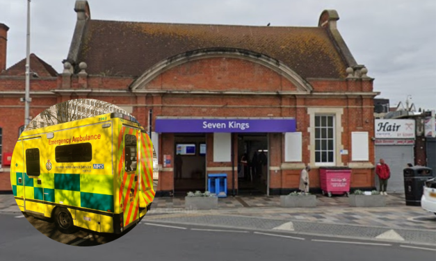 Man collapses and dies outside Seven Kings station