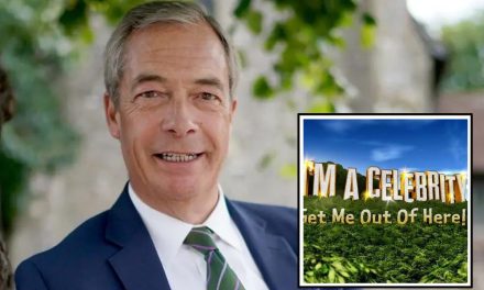 Nigel Farage issues I’m A Celebrity 2023 update amid rumours