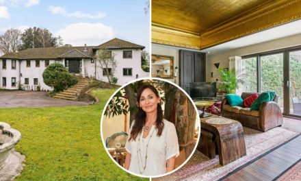 Natalie Imbruglia is selling her Thames £2.9m mansion