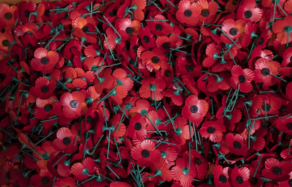 Remembrance Day: Why do we wear poppies and what they mark
