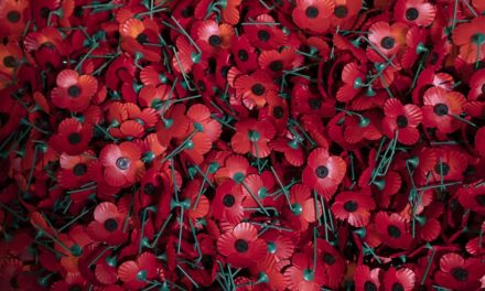Remembrance Day: Why do we wear poppies and what they mark
