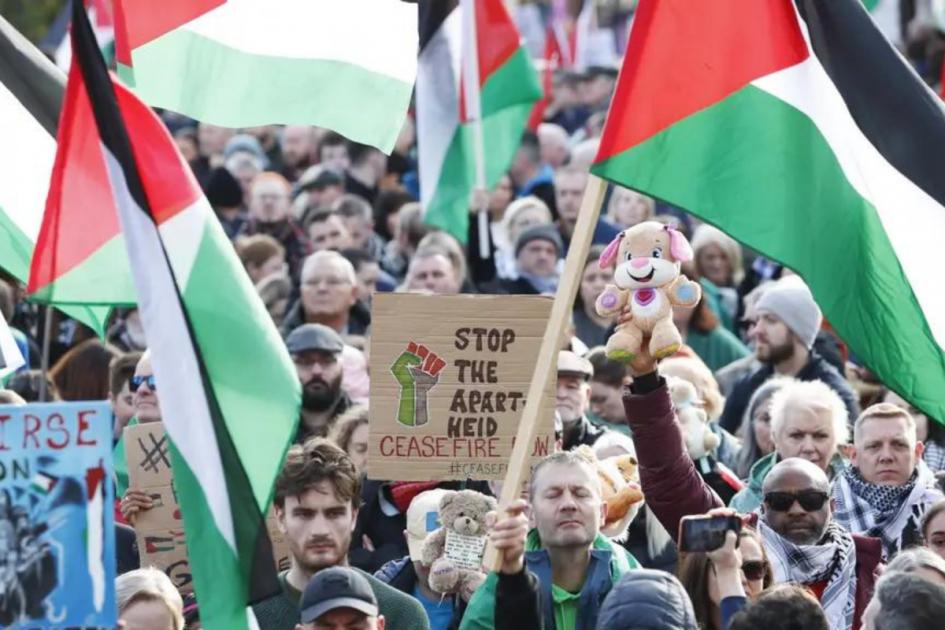 Sunak pressures Met to ban Armistice Day pro-Palestine march