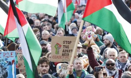 Sunak pressures Met to ban Armistice Day pro-Palestine march