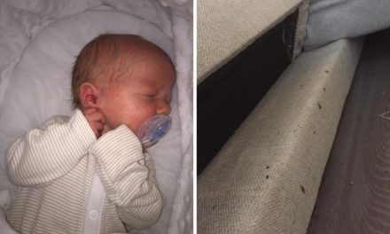 Family moved from London flat after bedbugs got so bad