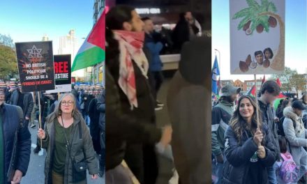 Met Police appeal to trace protestors at pro-Palestine march