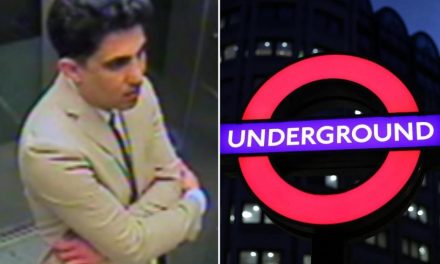 Green Park Underground station: Police search after sexual assault