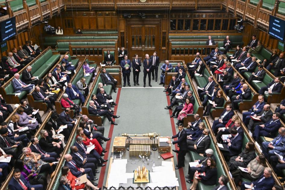 How did my MP vote on the Gaza ceasefire amendment?