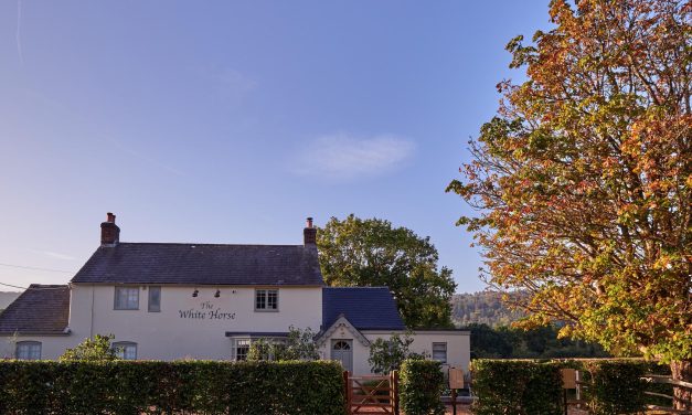 Head to South Downs for an easy day trip out of London