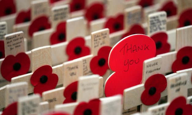 Remembrance 2023: East London services and parades