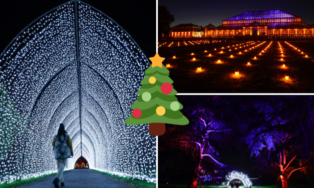 The best Christmas light trails in London you can visit