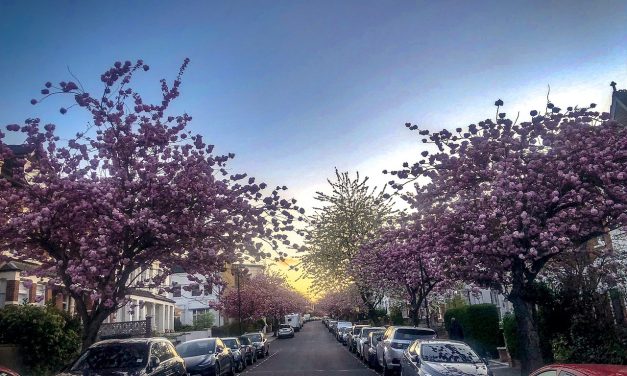 Two London neighbourhoods make best UK places to live list