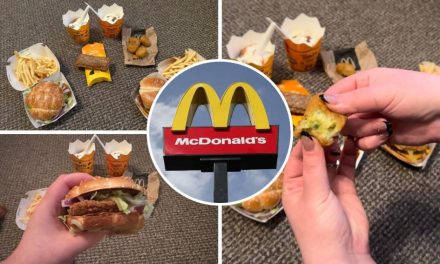 I tried McDonald’s new autumn menu – these 2 items must stay